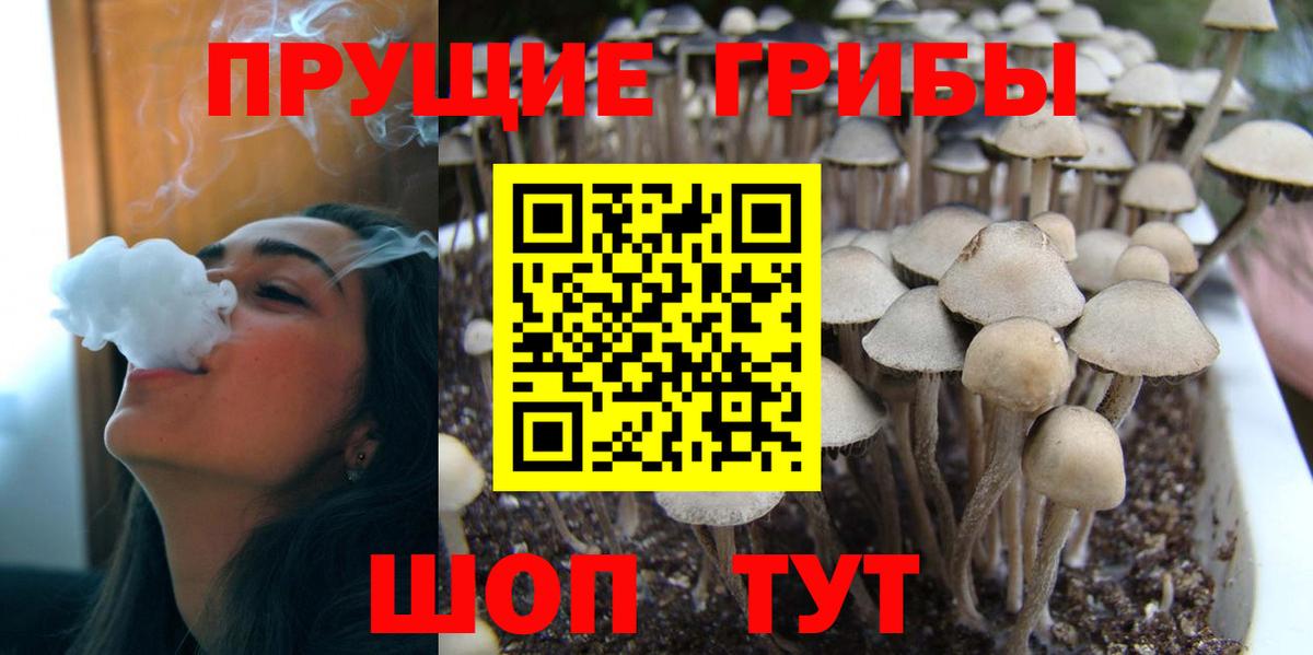 Галлюциногенные грибы Cubensis Верхний Уфалей